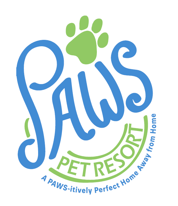 Paws Pet Resort Doggy Day Care with Live Cameras